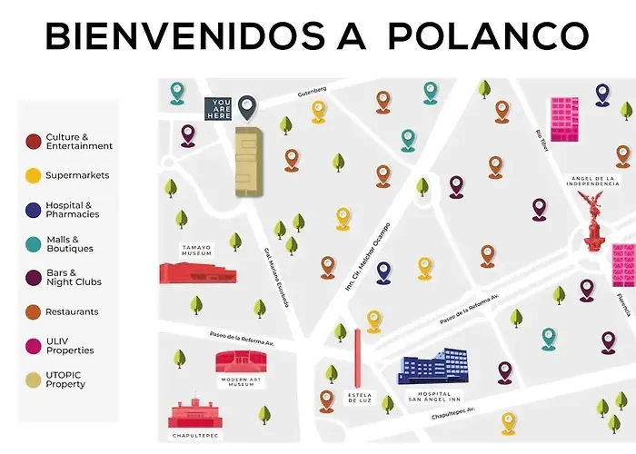 Polanco Mp 1 *